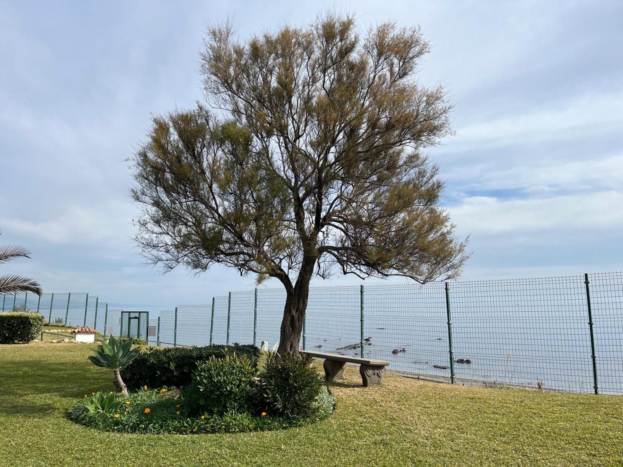 Premium Luxury-Casares Del Mar-Seaside Apartment Bahia de Casares 外观 照片